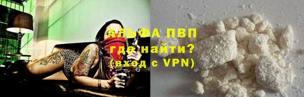 хмурый Абаза