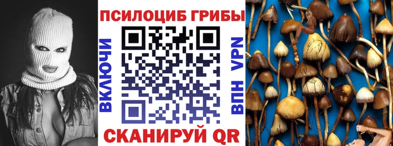 hydra рабочий сайт где продают Чулым Псилоцибиновые грибы Psilocybine cubensis